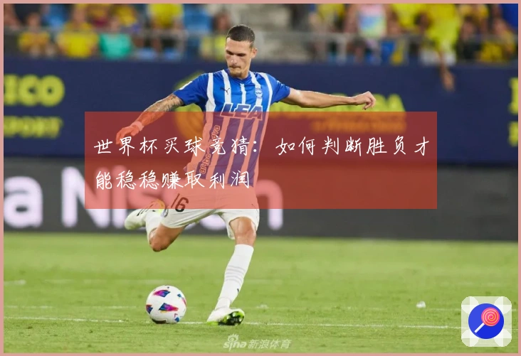 世界杯买球竞猜：如何判断胜负才能稳稳赚取利润