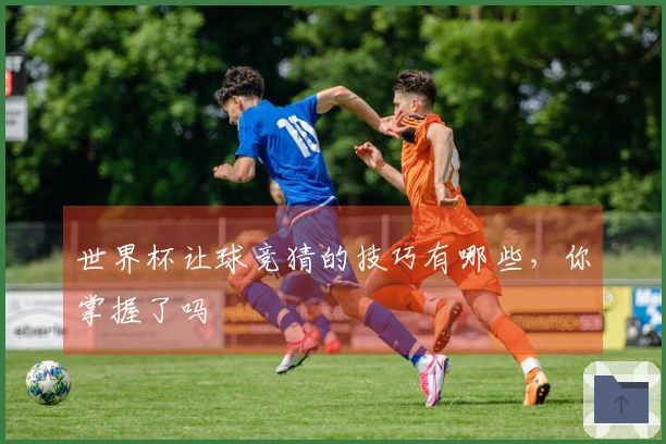 世界杯让球竞猜的技巧有哪些，你掌握了吗