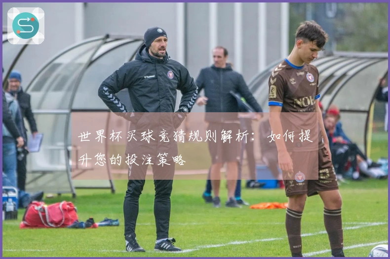 世界杯买球竞猜规则解析：如何提升您的投注策略