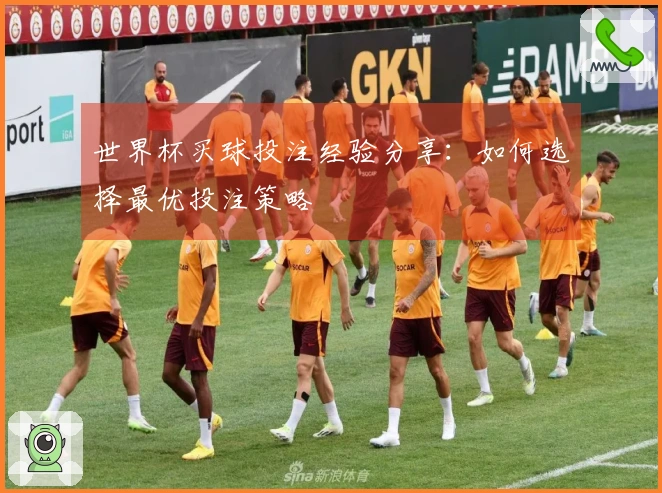 世界杯买球投注经验分享：如何选择最优投注策略